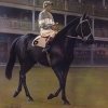 Champion Jockey, Merv Maynard